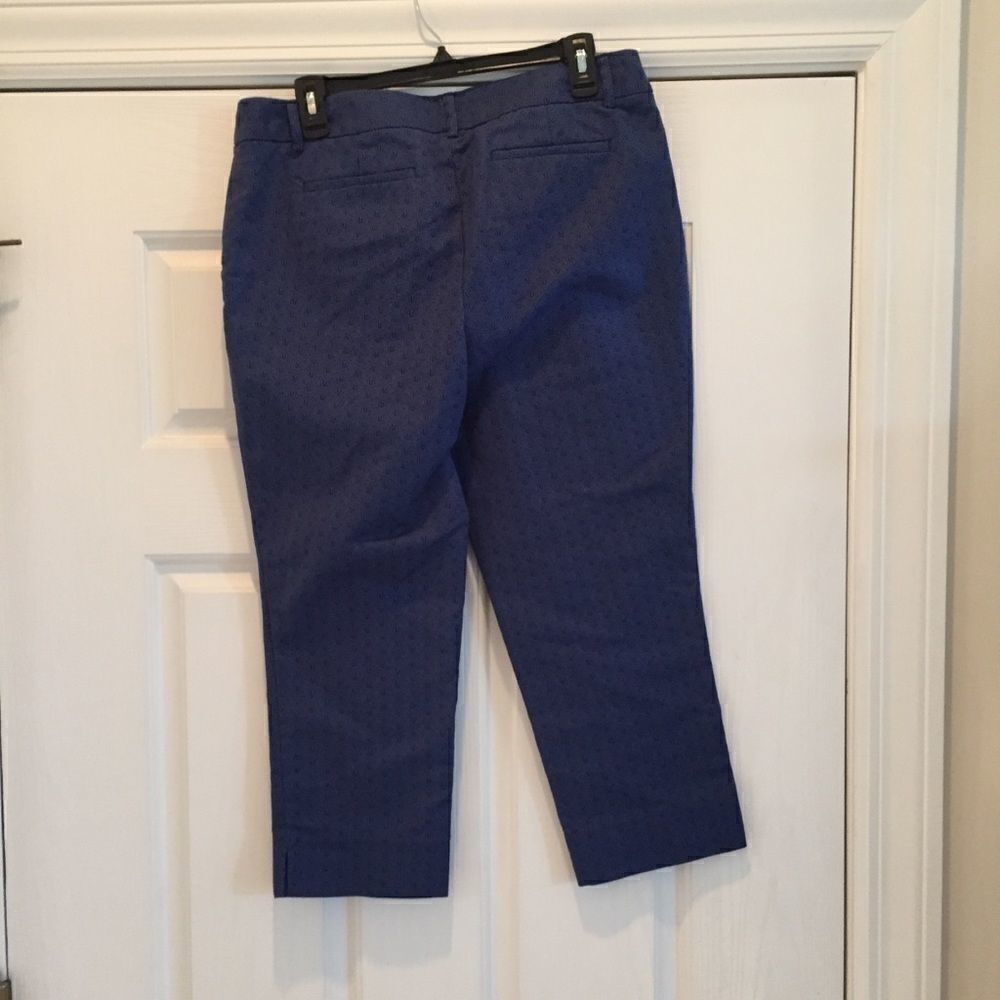 Hilary Radley Capris   - Picture 3 of 5